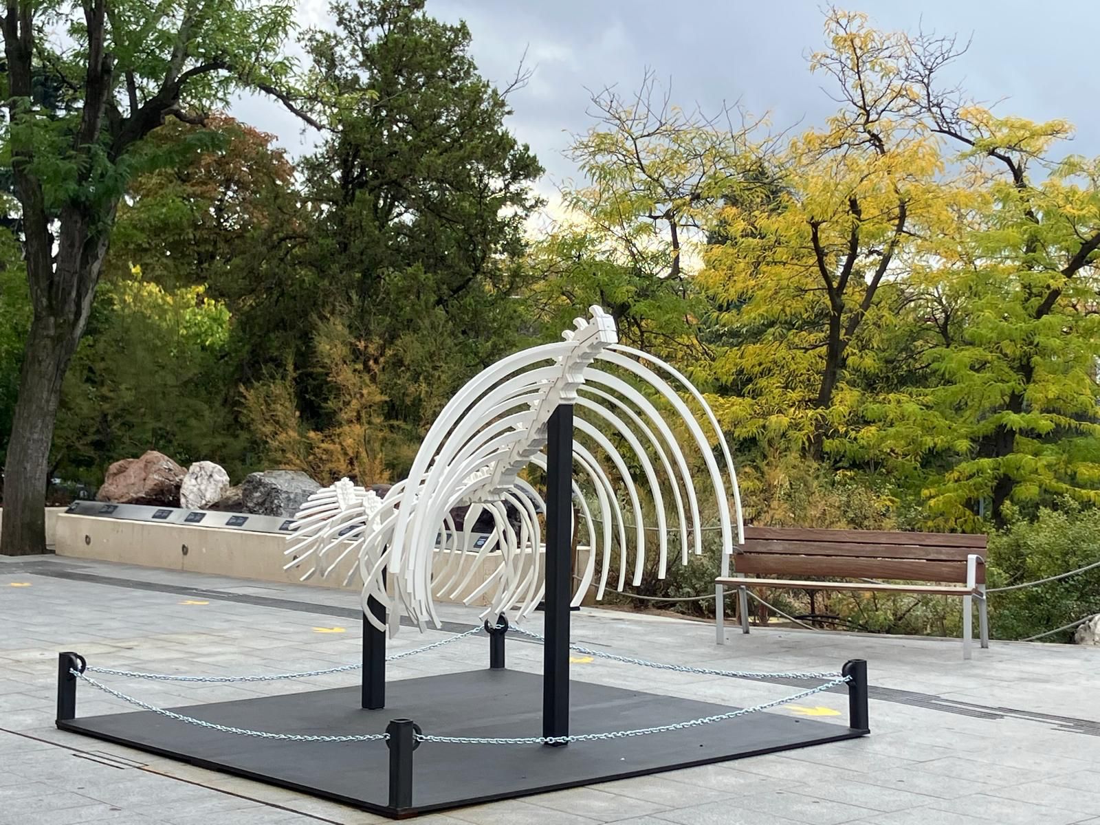 Climate Change Skeleton sculpture at MNCN-CSIC Madrid
